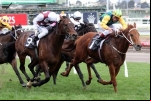 Tiger Tees Wins 2014 Aurie’s Star Handicap on Class
